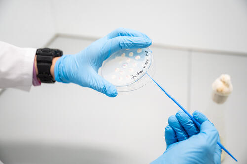 An Innovative Anti-Caries Gel Developed at NUST MISIS