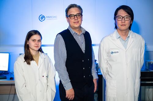 Targeted stimulation: Russian scientists propose a new method for studying brain cells