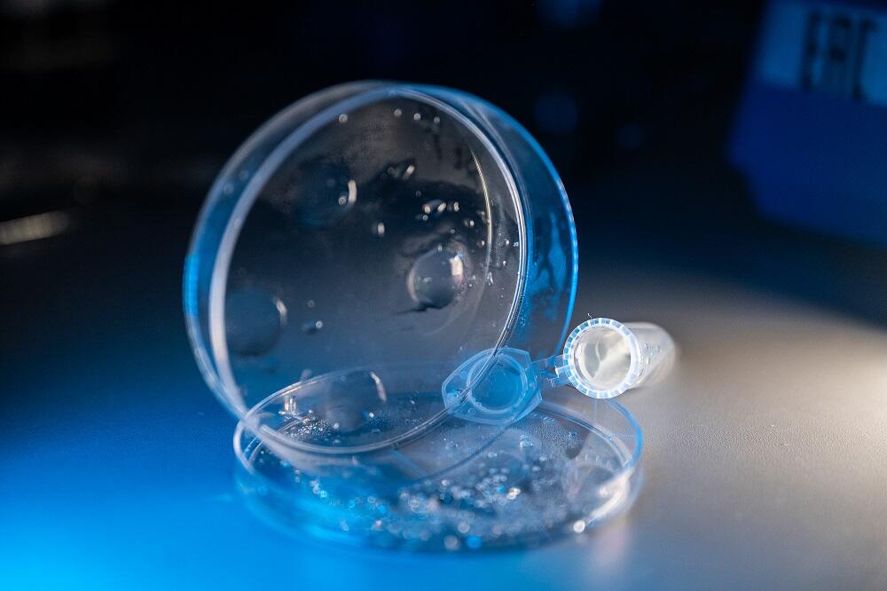 New hydrogel for wound healing stimulates cell regeneration and promotes tissue repair