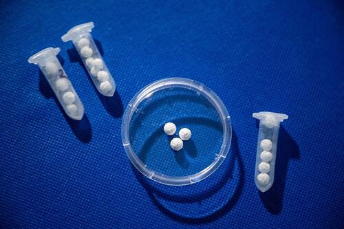 NUST MISIS develops antibacterial granules for bone regeneration